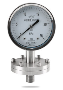 Đồng hồ đo áp suất YPF-100BF