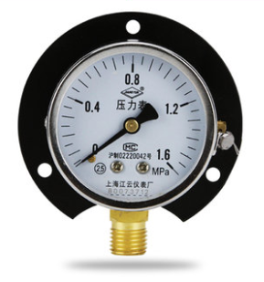 Đồng hồ đo áp suất Y60T