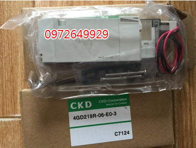 Van điện từ CKD 4GD219R-06-E0C 