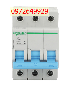 Bộ ngắt mạch thu nhỏ Schneider 