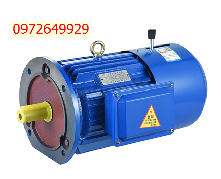 Động cơ điện từ YEJ80M1-4-0.55KW