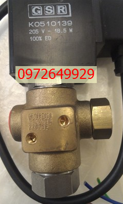 Van điện từ GSR K0510139